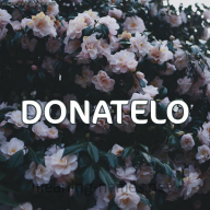 ＤＯＮＡＴＥＬＯツ